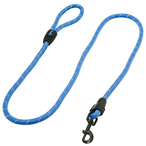 FRANKLIN PET SUPPLY - CORREA DE NAILON PARA PERRO REFLECTANTE ENTRENAMIENTO PARA PERROS 6 PIES PASEANDO POR PERROS ULTRA