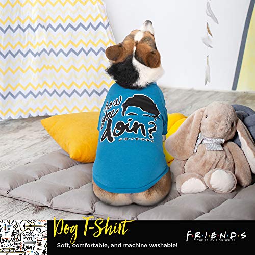 CAMISETA PARA PERRO EN AZUL FRIENDS TV SHOW 'HOW YOU DOIN'