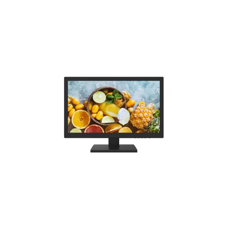 MONITOR DE 19 PULGADAS LCD