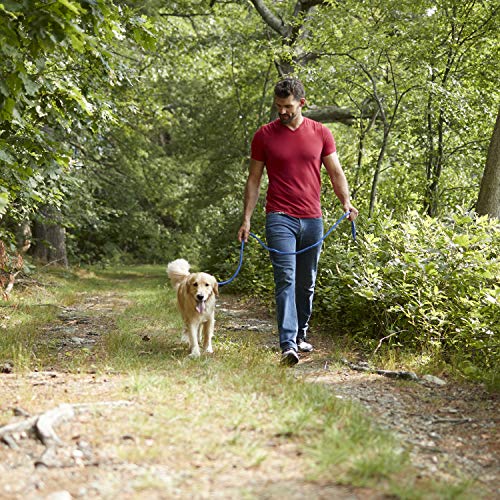 FRANKLIN PET SUPPLY - CORREA DE NAILON PARA PERRO REFLECTANTE ENTRENAMIENTO PARA PERROS 6 PIES PASEANDO POR PERROS ULTRA