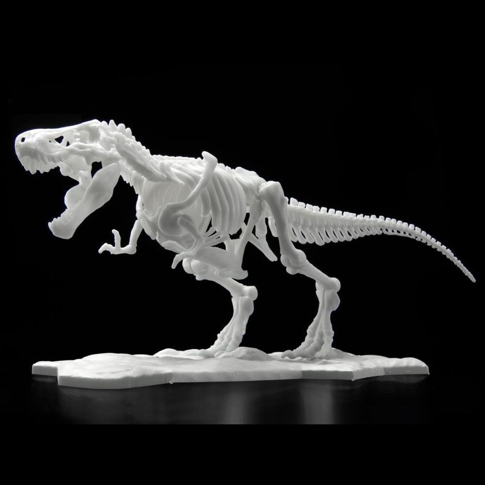 DINOSAUR SKELETON TYRANNOSAURUS REX MODEL KIT