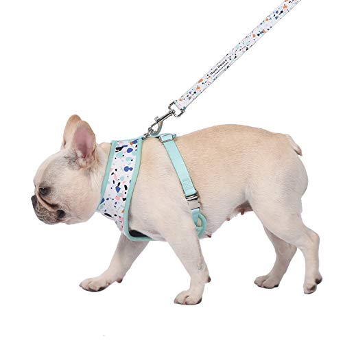 ARNÉS REVERSIBLE PARA MASCOTAS NOW HOUSE ELEGANTE DE MODA Y FUNCIONAL ACCESORIOS PARA PERROS LINDOS PARA MASCOTAS