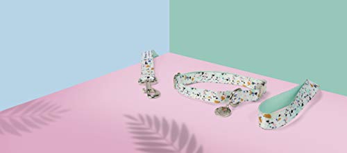 JONATHAN ADLER: NOW HOUSE - COLLAR DE TERRAZZO DE MENTA PEQUEÑO FORMA ELEGANTE Y MODERNA DE MANTENER A TU PERRO