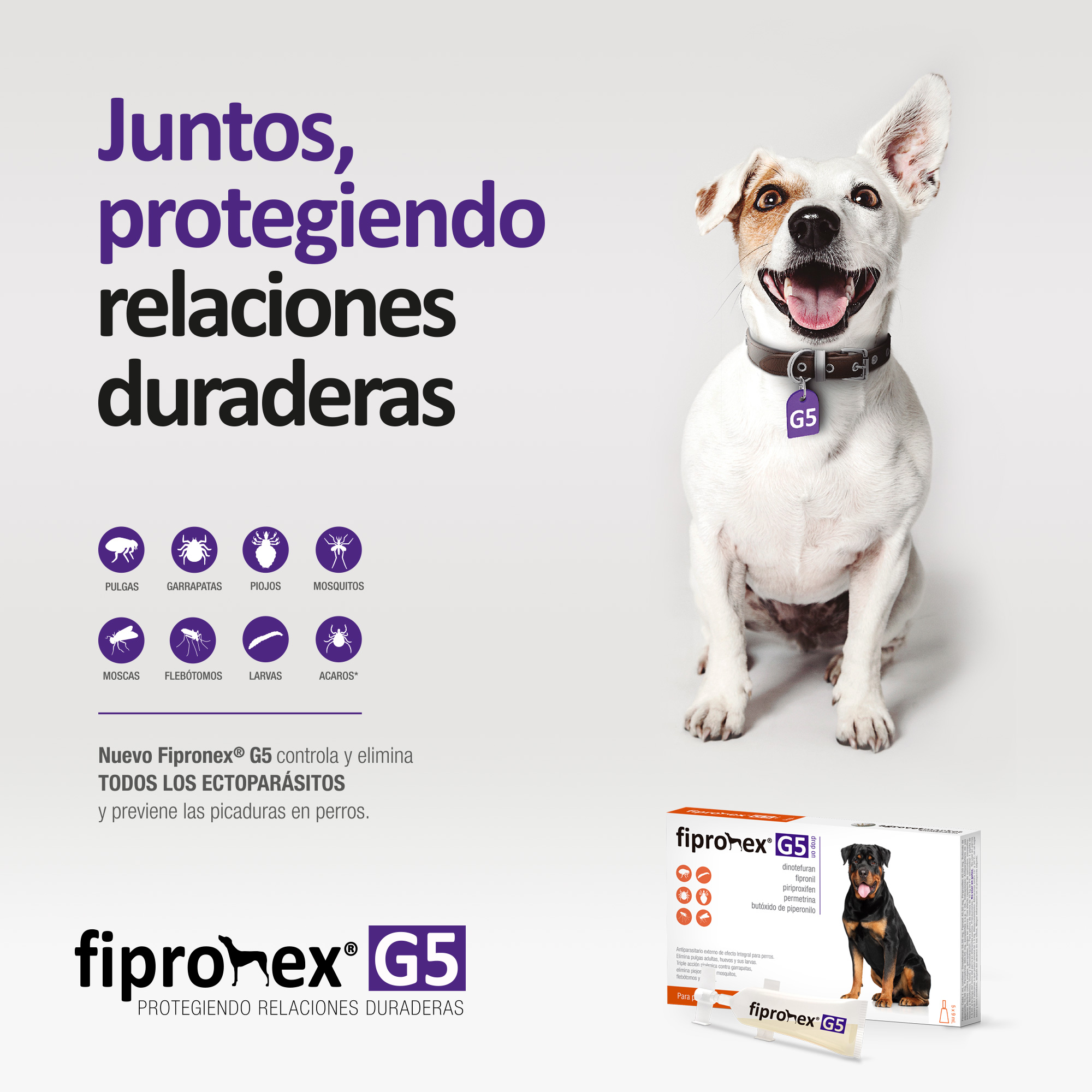 ANTIPULGAS PARA PERROS FIPRONEX G5 DROP ON CJA 5 PIP X 9 ML (+ 40 KG)