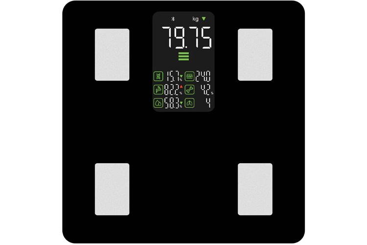 HALO Bluetooth Smart Display Body Scale