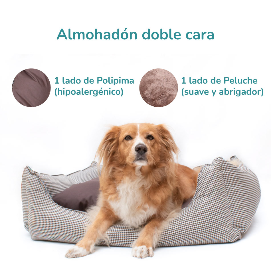 CAMA CONFORT GALES - MEDIUM