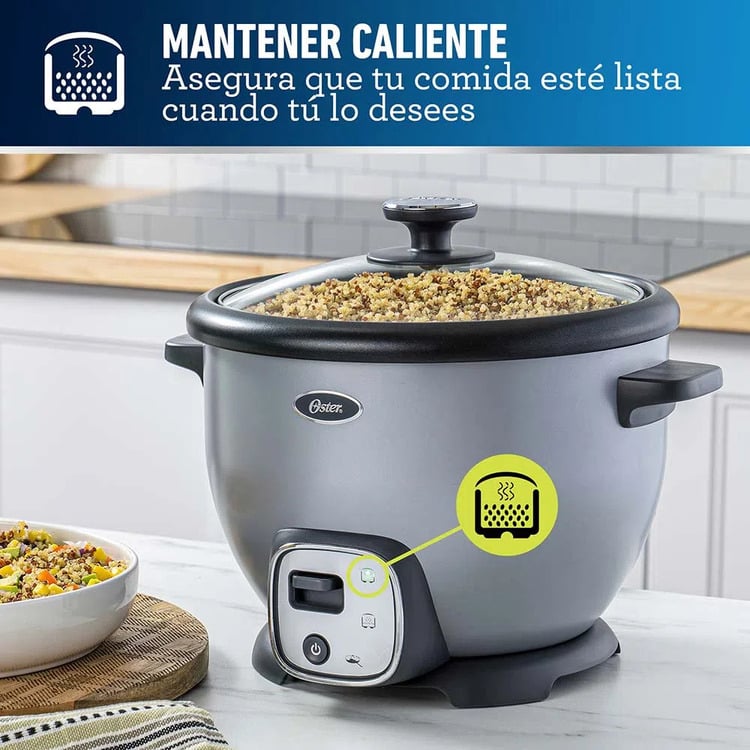 OSTER OLLA ARROCERA MULTIUSOS 1.8 LT CKSTRC8029S - GRIS