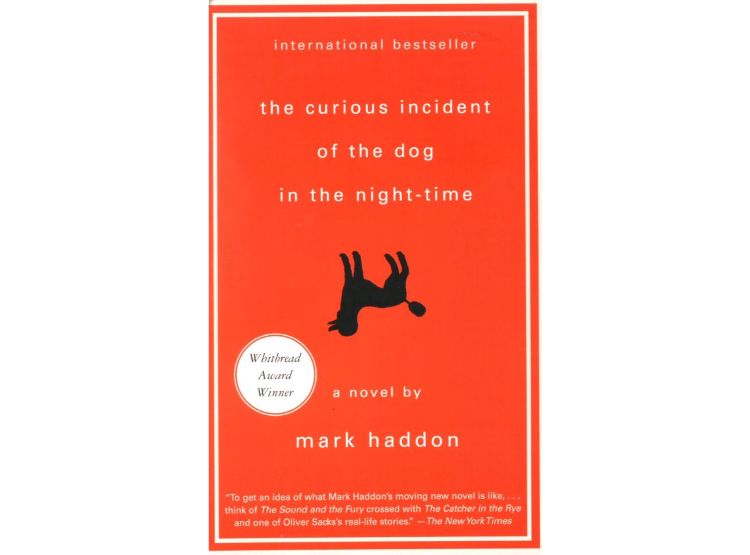 THE CURIOUS INCIDENT OF THE DOG IN THE NIGHT-TIME