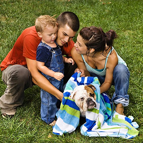 PISCINA PORTÁTIL PARA PERROS PETMAKER DE 30.5' DE DIÁMETRO PLEGABLE CON BOLSA DE TRANSPORTE - PISCINA PEQUEÑA