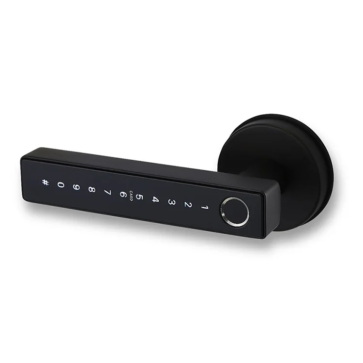 Auslock Novo Series N31B Door Handle Smart Lock (Black)