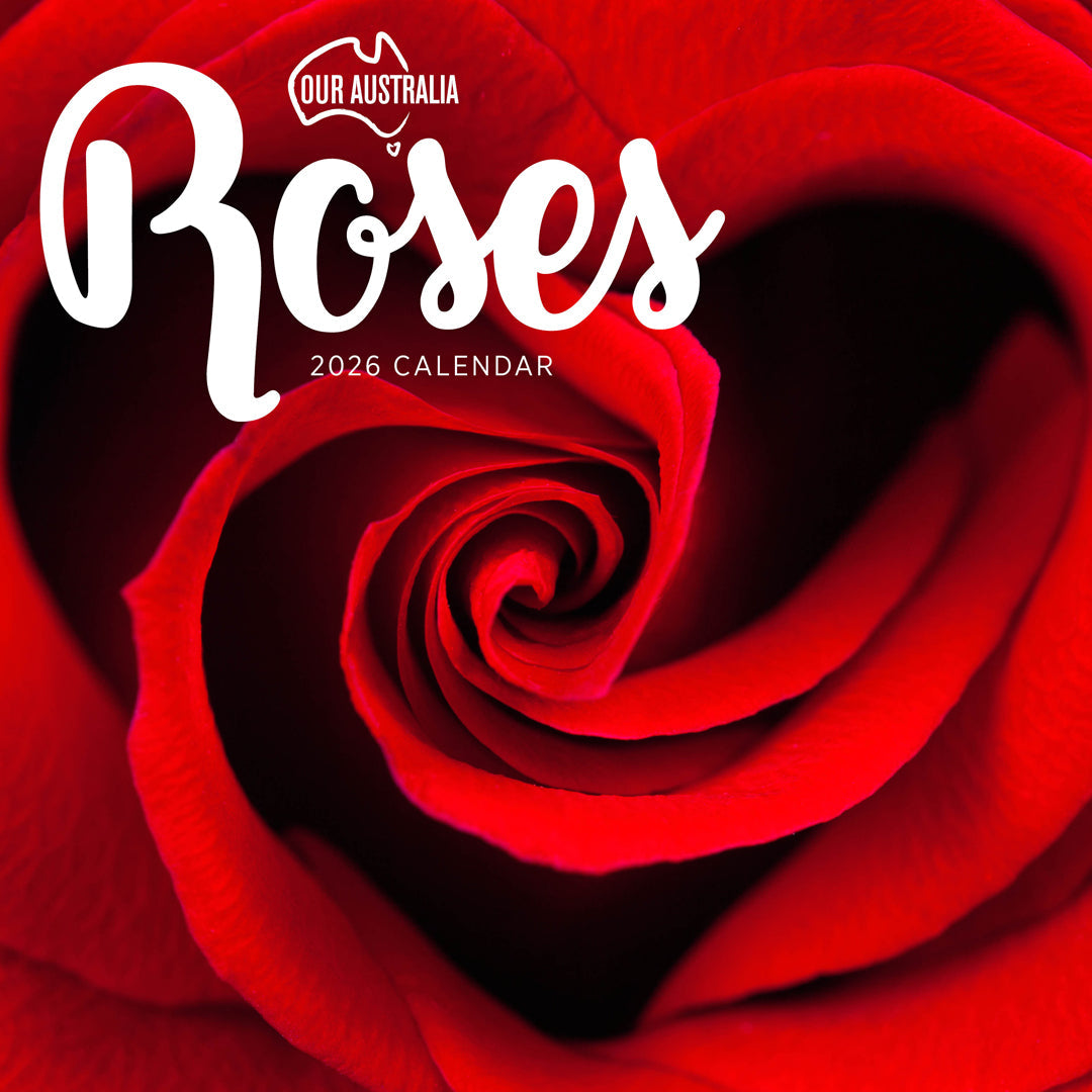 Paper Pocket Our Australia Roses 2026 Calendar